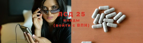 сатива Пересвет