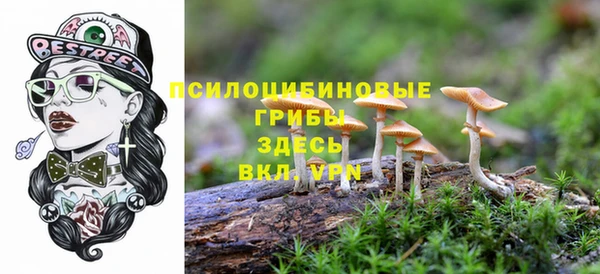 сатива Абинск