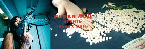 сатива Абинск